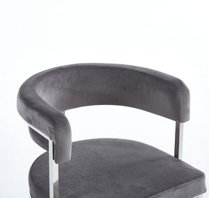 Sandro Velvet Dining Chair Grey & Silver