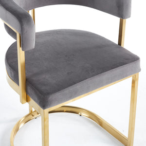 Sandro Velvet Dining Chair Grey & Gold