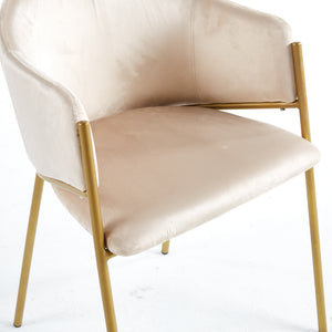 Jobi Cream Velvet Dining Chair