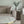 Luca White & Gold Marble Side Table & Coffee Table Set