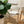 Soho Oak Dining Chair
