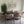 A modern dining room setup featuring a dark wood oval dining table surrounded by six upholstered dining chairs with dark wood frames, set on a distressed gray area rug. A white ceramic vase sits on the table, and a large green potted plant is on the left.