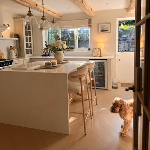 Modern kitchen with wooden beams and a dog standing near the door.