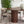 A modern dining room setup featuring a round wooden table with a fluted pedestal base and two upholstered chairs with curved backs, styled with a large potted plant and a ceramic vase.