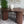 A modern dining room scene showing a dark wood table and matching ribbed bar stools, with a white vase on the tabletop, a green potted plant, and two framed abstract prints on a light wall.